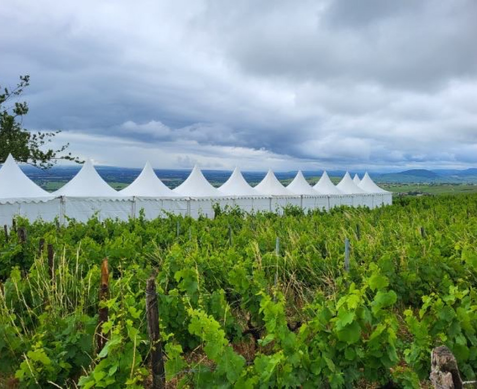 Location de chapiteaux pour événements dans les vignes en Beaujolais, Bourgogne;, Côtes du Rhône