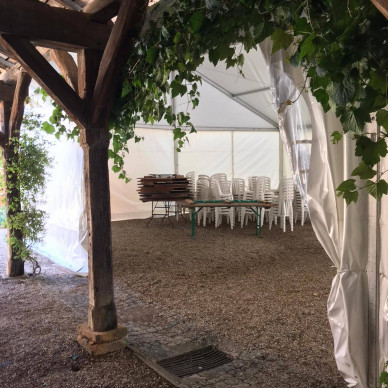 Mariage dans les vignes
