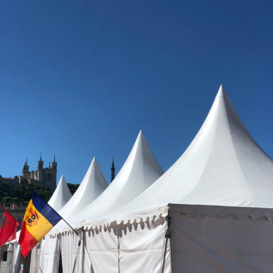 Chapiteaux pour les consulaires au centre de Lyon avec LDC location de chapiteaux
