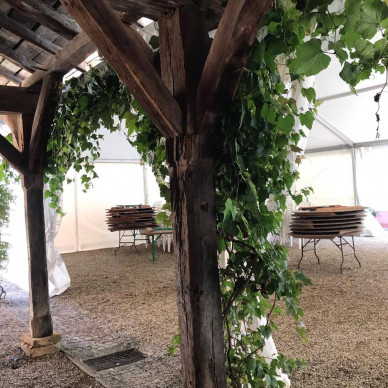 Mariage dans les vignes