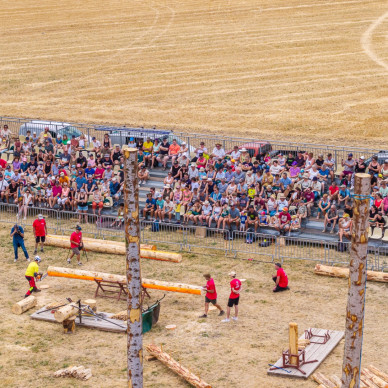Location de chapiteaux et tribunes pour la Grande fête de la forêt et du bois