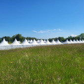 Courir pour elles - Lyon - 2025